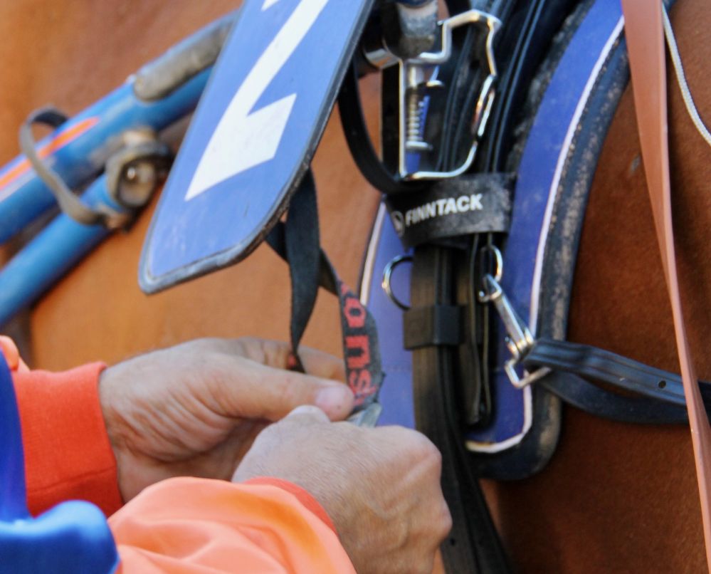 Assistez à une course hippique au sein de notre