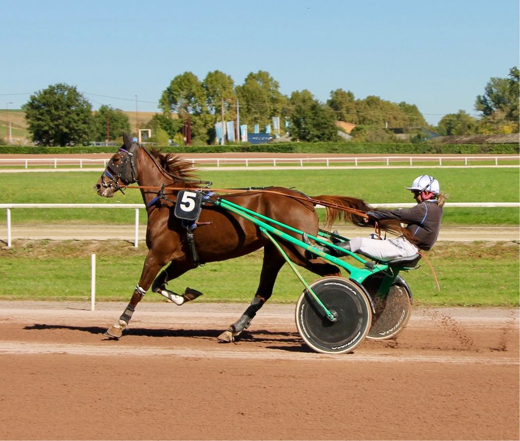 Vivez des courses intenses à l'Hippodrome de Beaumont de Lomagne